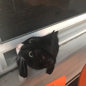 Meet your Posher, Cris